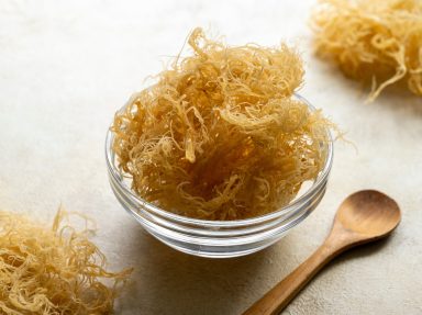 Siêu Thực Phẩm Rong Sụn (Sea Moss) Là Gì? 92 Khoáng Chất Bồi Bổ Cơ Thể